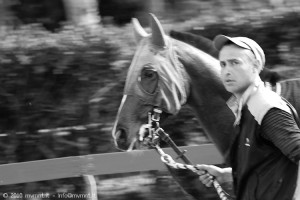 Calm after riding - horse photography